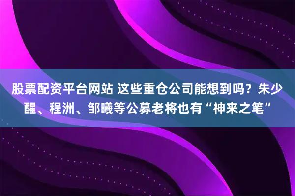 股票配资平台网站 这些重仓公司能想到吗？朱少醒、程洲、邹曦等公募老将也有“神来之笔”
