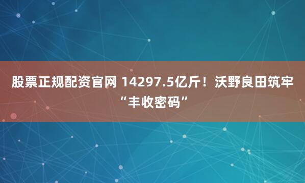 股票正规配资官网 14297.5亿斤！沃野良田筑牢“丰收密码”